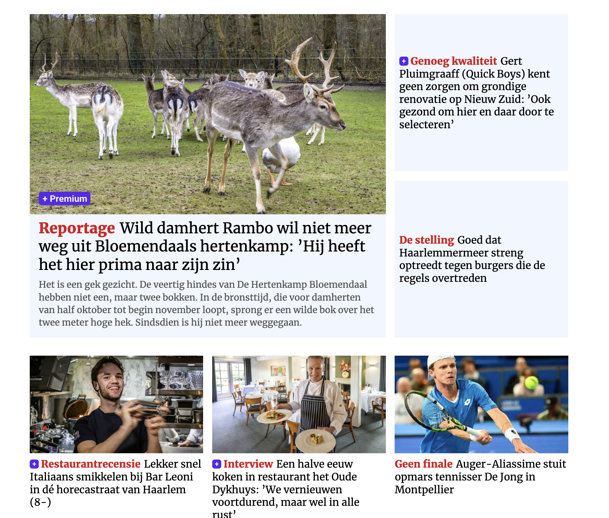 Haarlems dagblad voorpagina screenshot